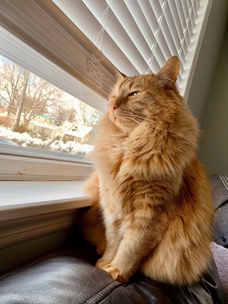 С добрым утром!2