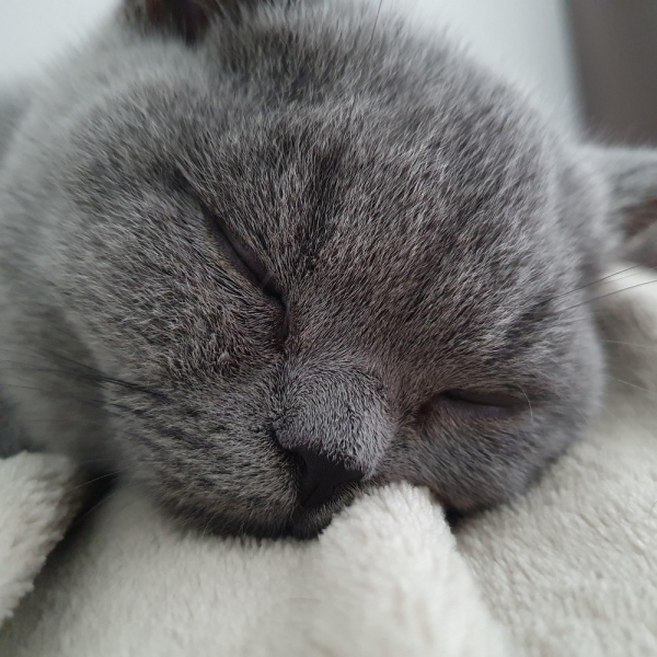 С добрым утром!12