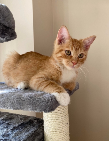 С добрым утром!1