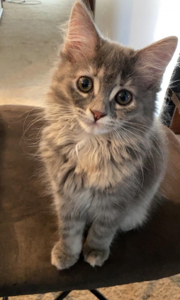 С добрым утром!4