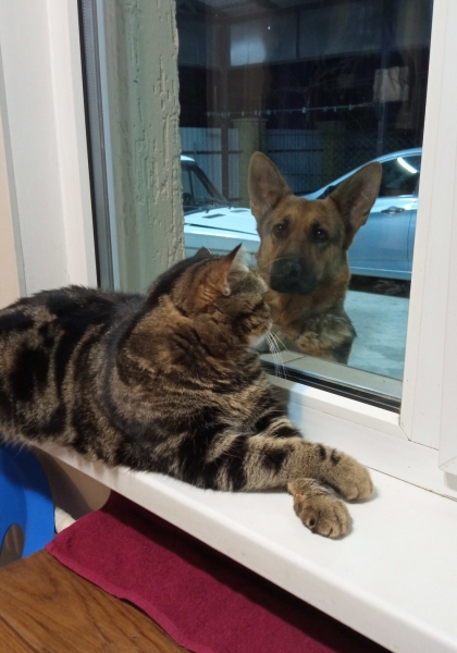 С добрым утром!8