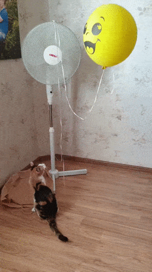 С добрым утром!20