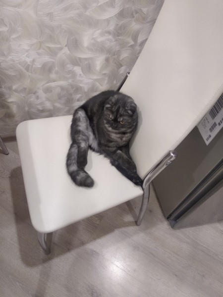 С добрым утром!10