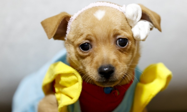 Интересные кадры из Турции15