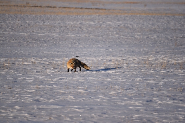 Интересные кадры из Турции14