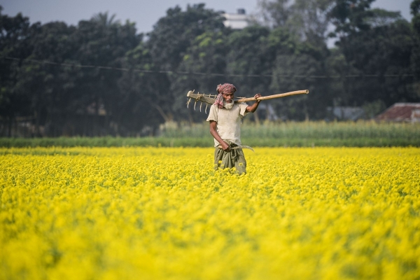 Интересные снимки из Бангладеш5
