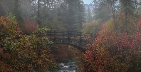 красивый пейзаж