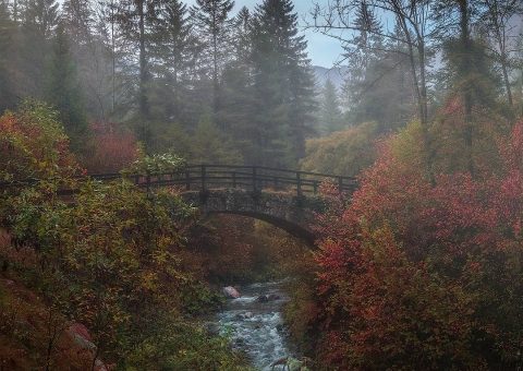 красивый пейзаж