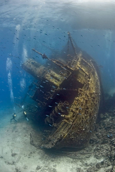Подборка интересных и веселых картинок 04.02.2120