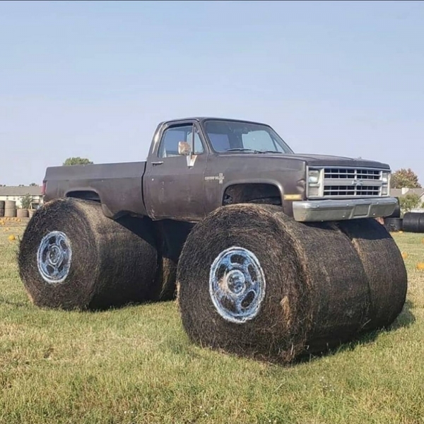 Подборка интересных и веселых картинок 04.02.2130