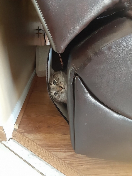 Подборка интересных и веселых картинок 07.02.2113