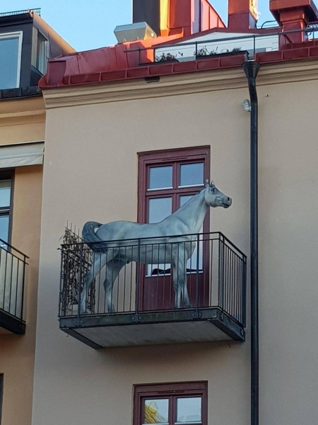 Подборка интересных и веселых картинок 07.02.2122