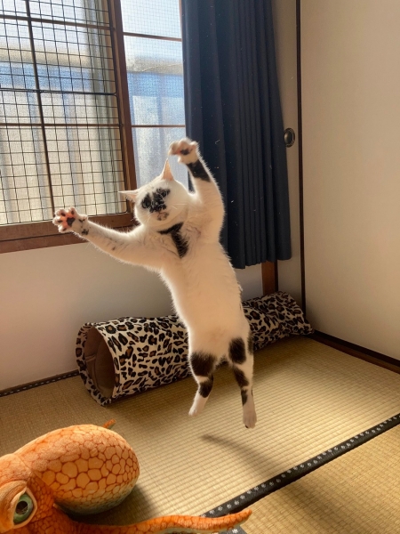 Подборка интересных и веселых картинок 07.02.2138