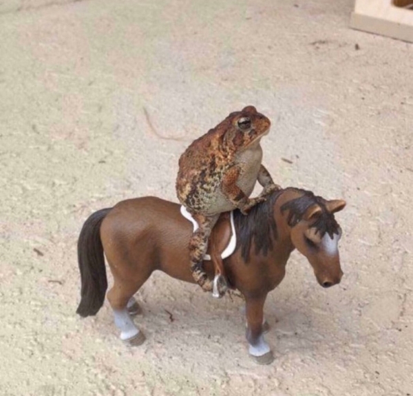 Подборка интересных и веселых картинок 07.02.2129