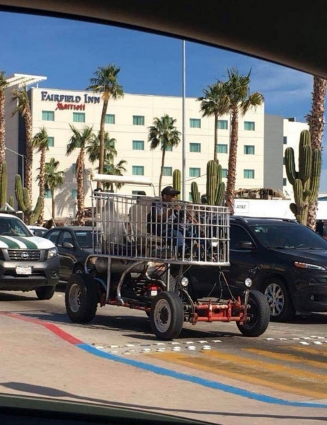 Подборка интересных и веселых картинок 07.02.2116