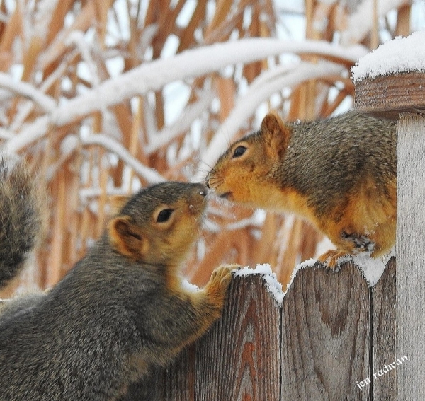 Подборка интересных и веселых картинок 07.02.2128