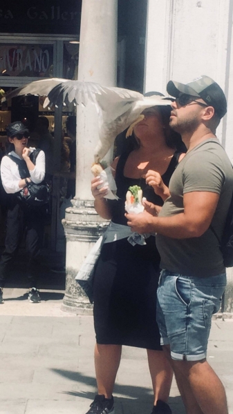 Подборка интересных и веселых картинок 14.02.2134