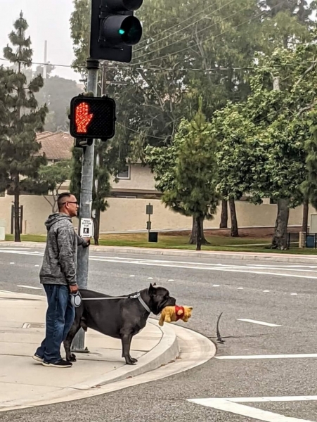 Подборка интересных и веселых картинок 14.02.211