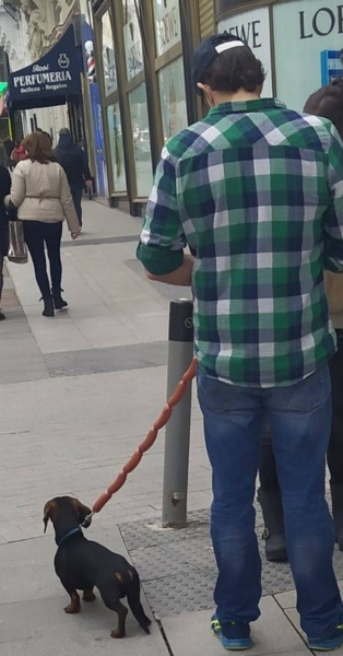 Подборка интересных и веселых картинок 14.02.2124