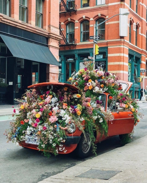 Подборка интересных и веселых картинок 14.02.2137