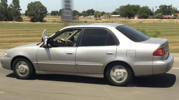 Подборка интересных и веселых картинок 14.02.2129