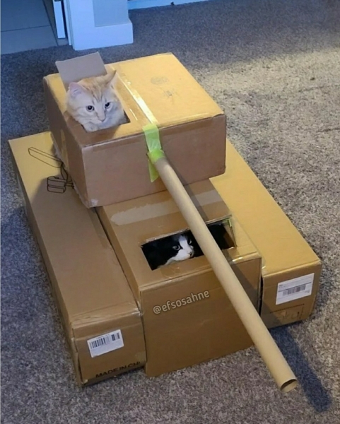 Подборка интересных и веселых картинок 14.02.2131