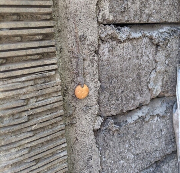 Подборка интересных и веселых картинок 14.02.2110