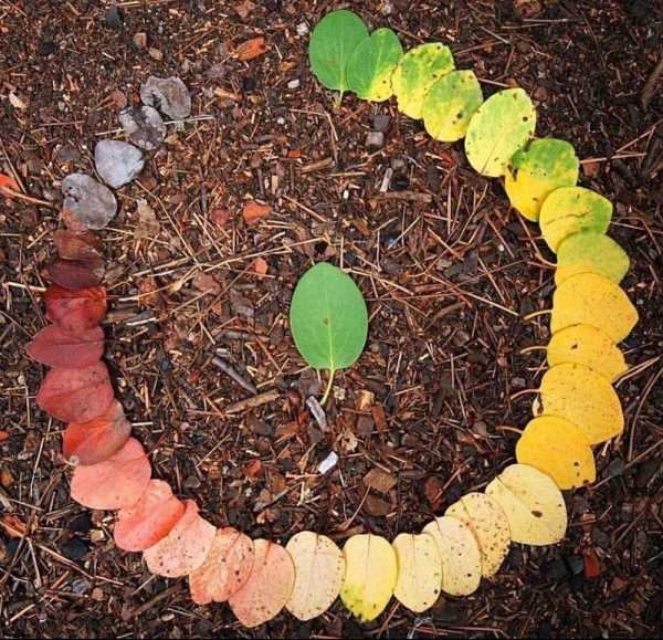 Подборка интересных и веселых картинок 14.02.2116