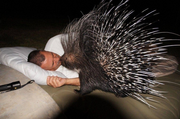 Подборка интересных и веселых картинок 14.02.2135