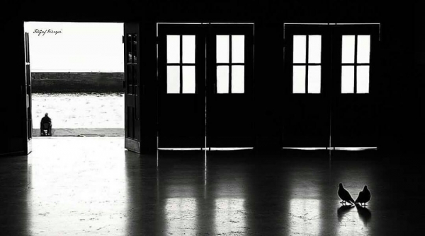 Улицы Стамбула на снимках Ондера Серчелика1