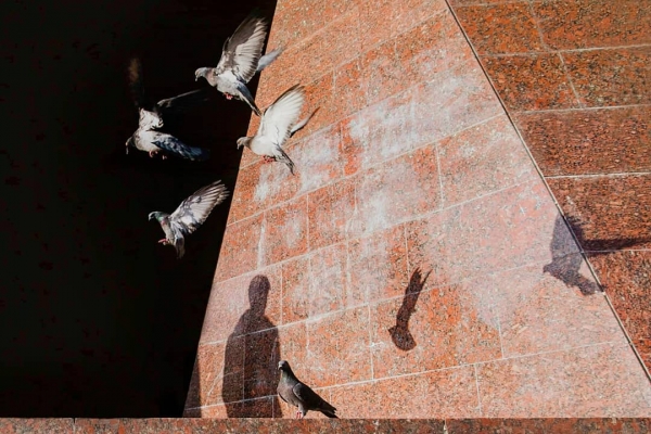 Улицы Стамбула на снимках Ондера Серчелика5